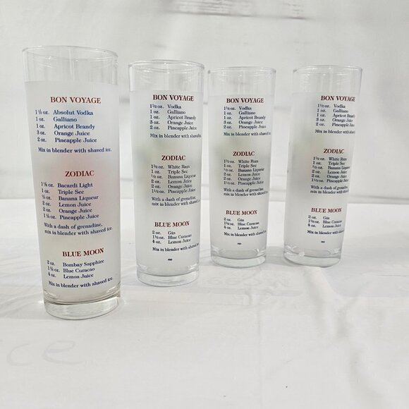 Celebrity Cruises Orchids Frosted High Ball Glasses Drink Recipe – Set of 4 - Picture 13 of 16